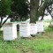 Whitewater Honey a family run apiary can supply honey in any quantity !
