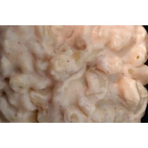 Macaroni and Cheese - Single Serving - Frozen