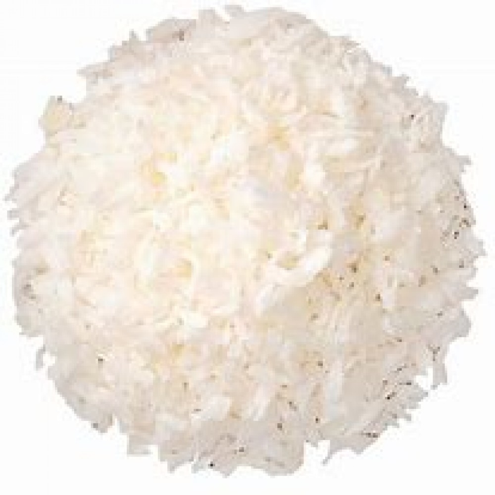 Coconut - Unsweetened - Bulk Item (Assorted sizes)