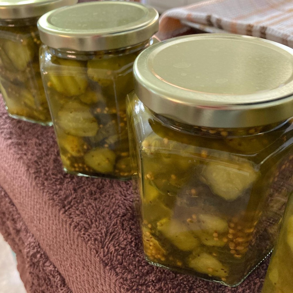 Bread and Butter Pickles - Shamrock Gardens