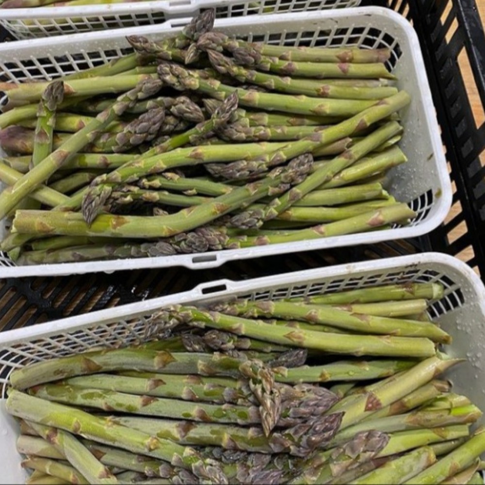 Asparagus - 1/2 lb bundle