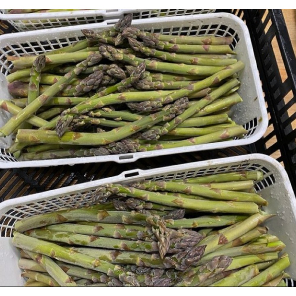 Asparagus - 1/2 lb bundle