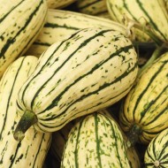 Squash - Delicata - each