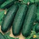Field Cucumbers - Singles, 6 for $5, 12 for $8