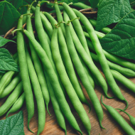 Green Beans 