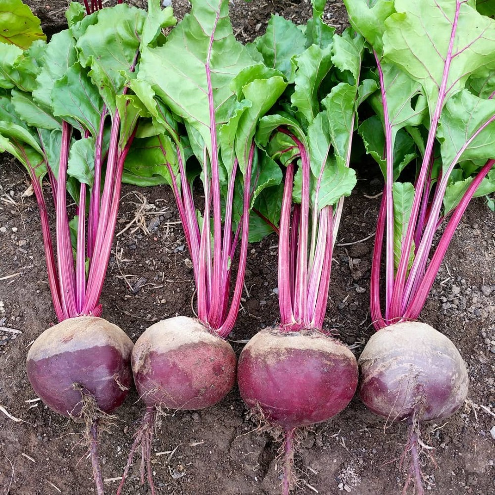 Beets - Locally Grown - Lb