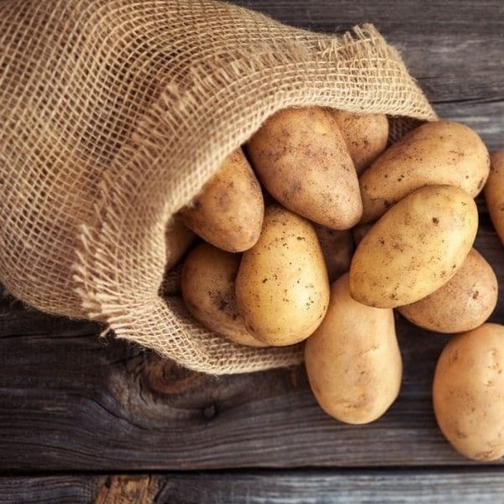 Potatoes - Russet -  Locally Grown - 10 lb 