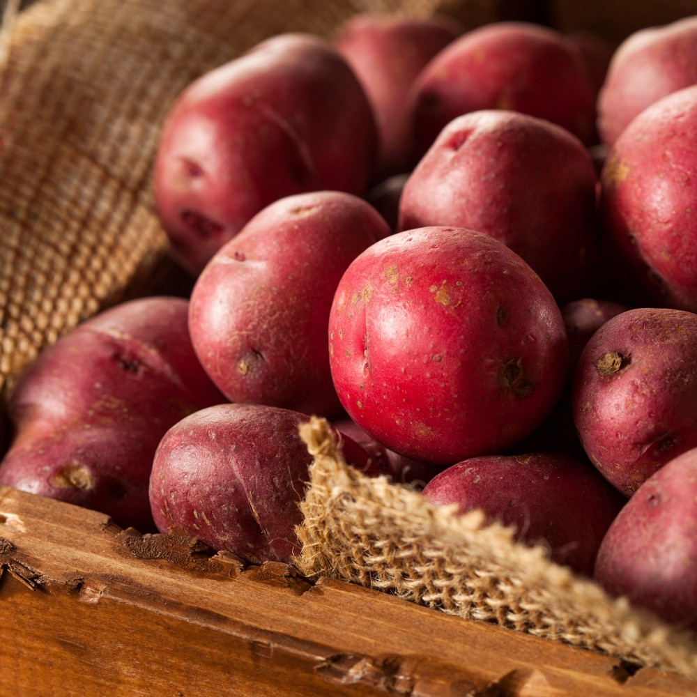  Potatoes - Red - Locally Grown - 50 lb Bag