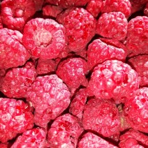 Raspberries - Locally Grown - Frozen - 1 lb bag