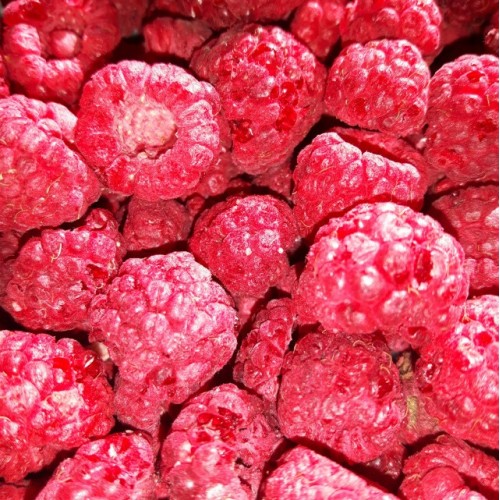 Raspberries - Locally Grown - Frozen - 5 lb bag