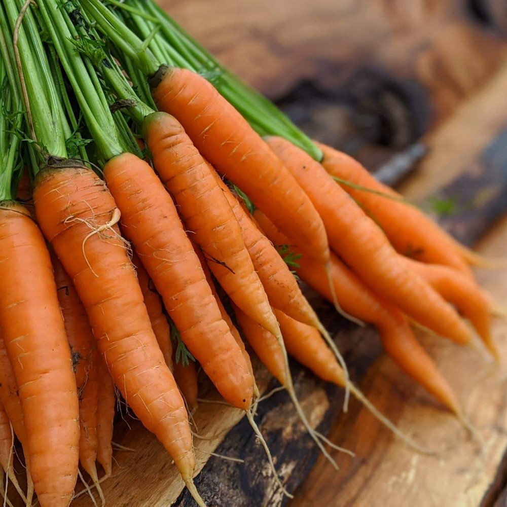 Carrots -  Locally Grown- 2 lbs