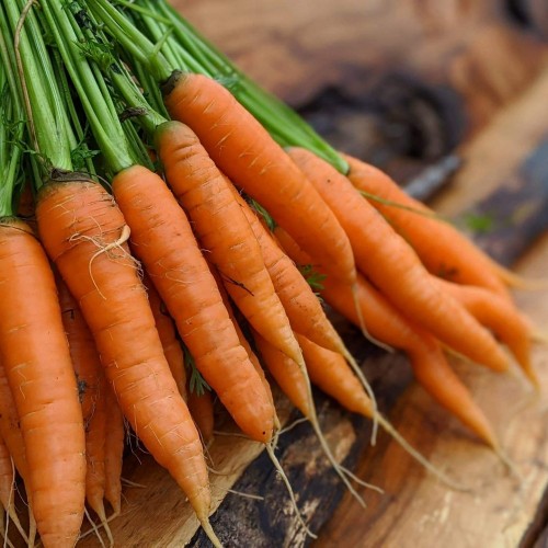 Carrots -  Locally Grown- Pint