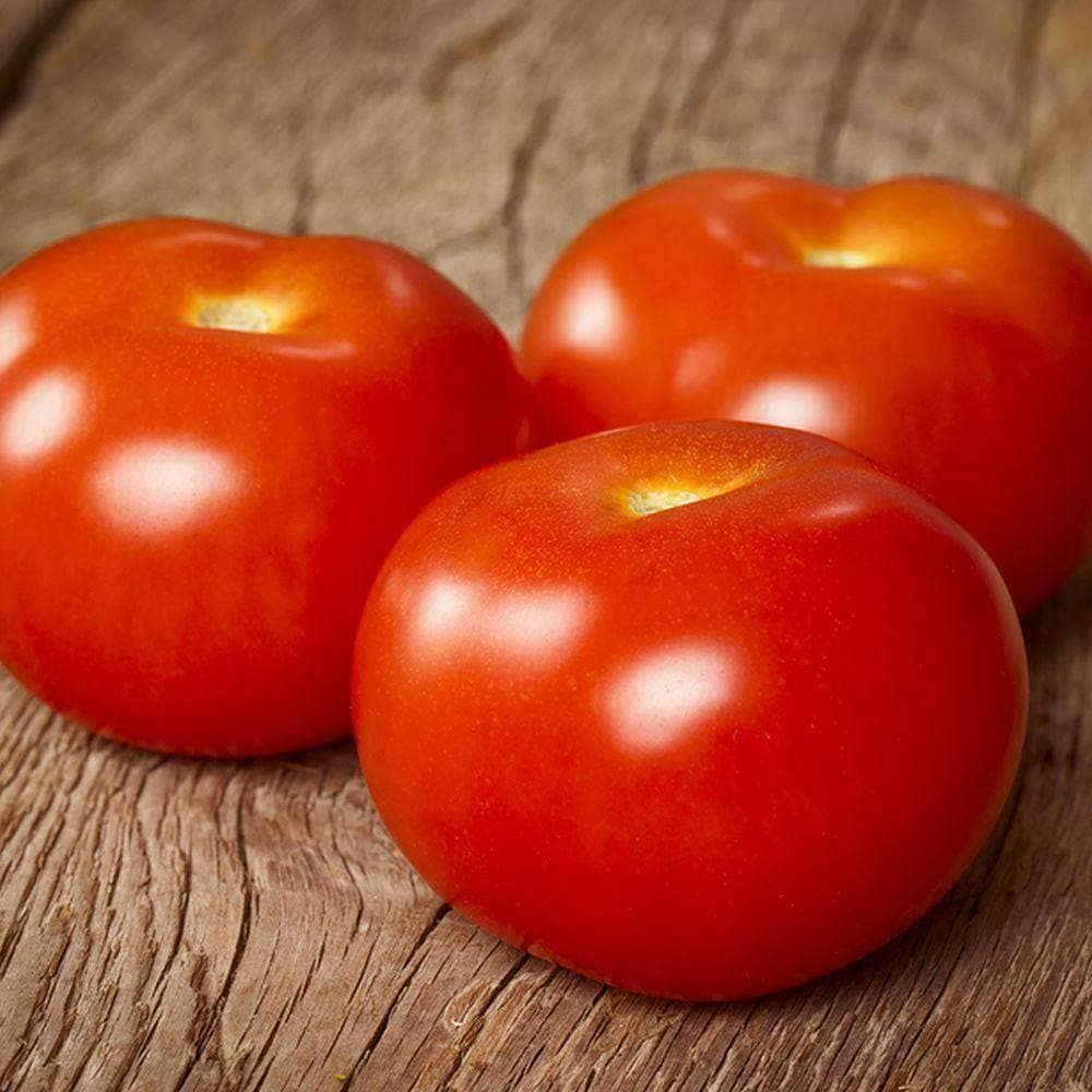 Tomatoes - 4 for $5