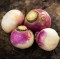 Rutabaga- Locally Grown - each