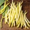 Beans - Yellow - Locally Grown - 5 lbs