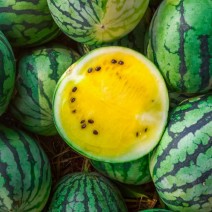 Watermelon - Yellow - Seeded -  Locally Grown - each
