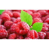 Raspberries -  Assorted sizes