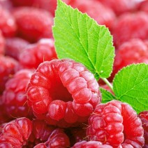 Raspberries -  Assorted sizes