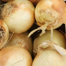 Onions - Yellow - Locally Grown - 5 lbs