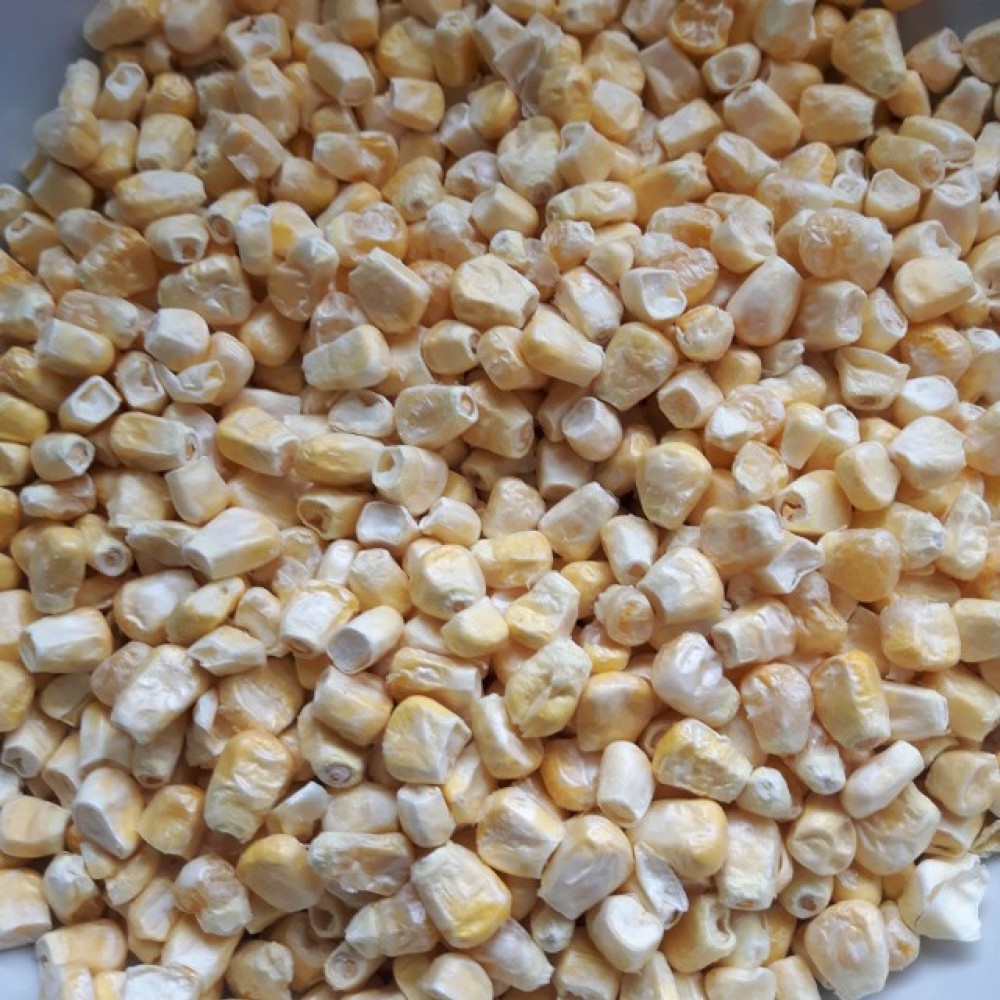 Sweet Corn - Freeze Dried