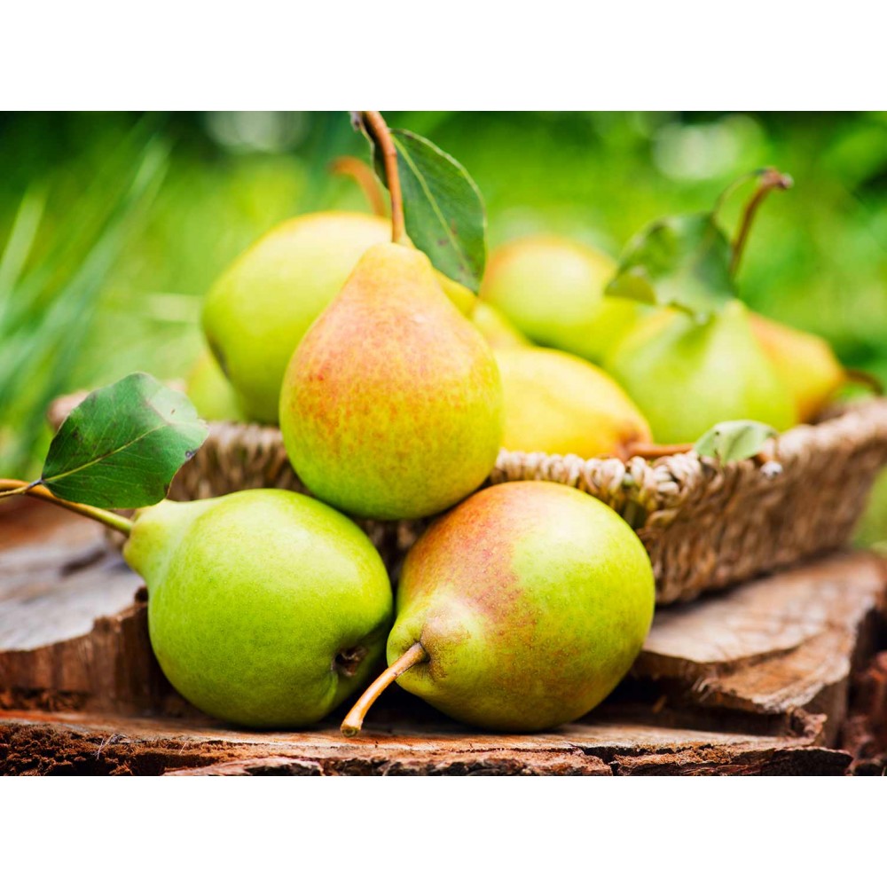 Pears -  Bartlett - Each