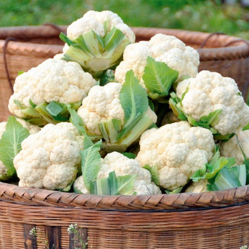 Cauliflower - Each