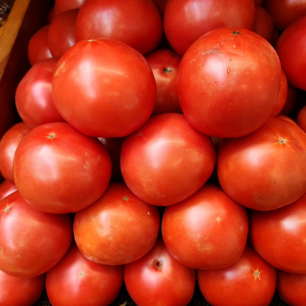 Tomatoes - Lb