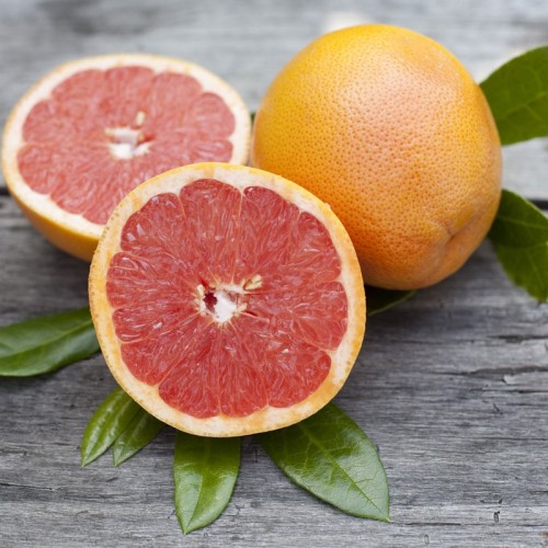 Grapefruit - Each