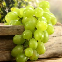 Grapes - Green - Lb