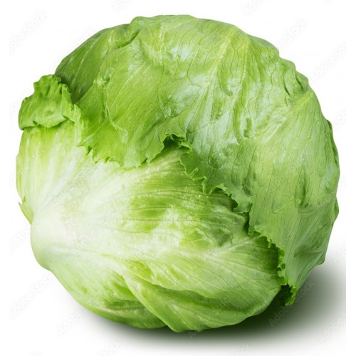 Lettuce - Iceburg - Each