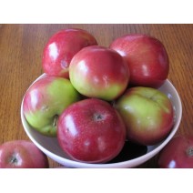 Apples - Macintosh - per lb