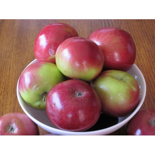 Apples - Macintosh - per lb