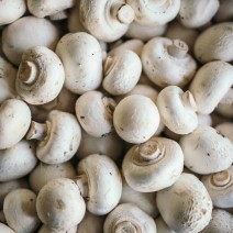 Mushrooms - Whole - 227 package