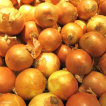 Onion - Yellow - 2lb bag