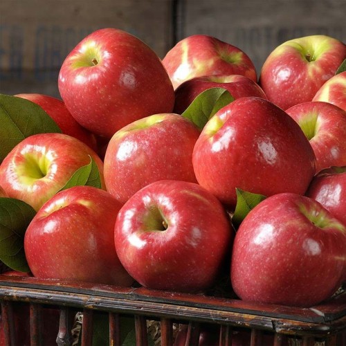 Apples - Pink Lady - per lb