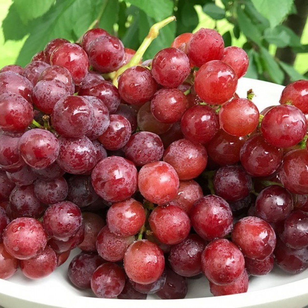 Grapes - Red- Lb