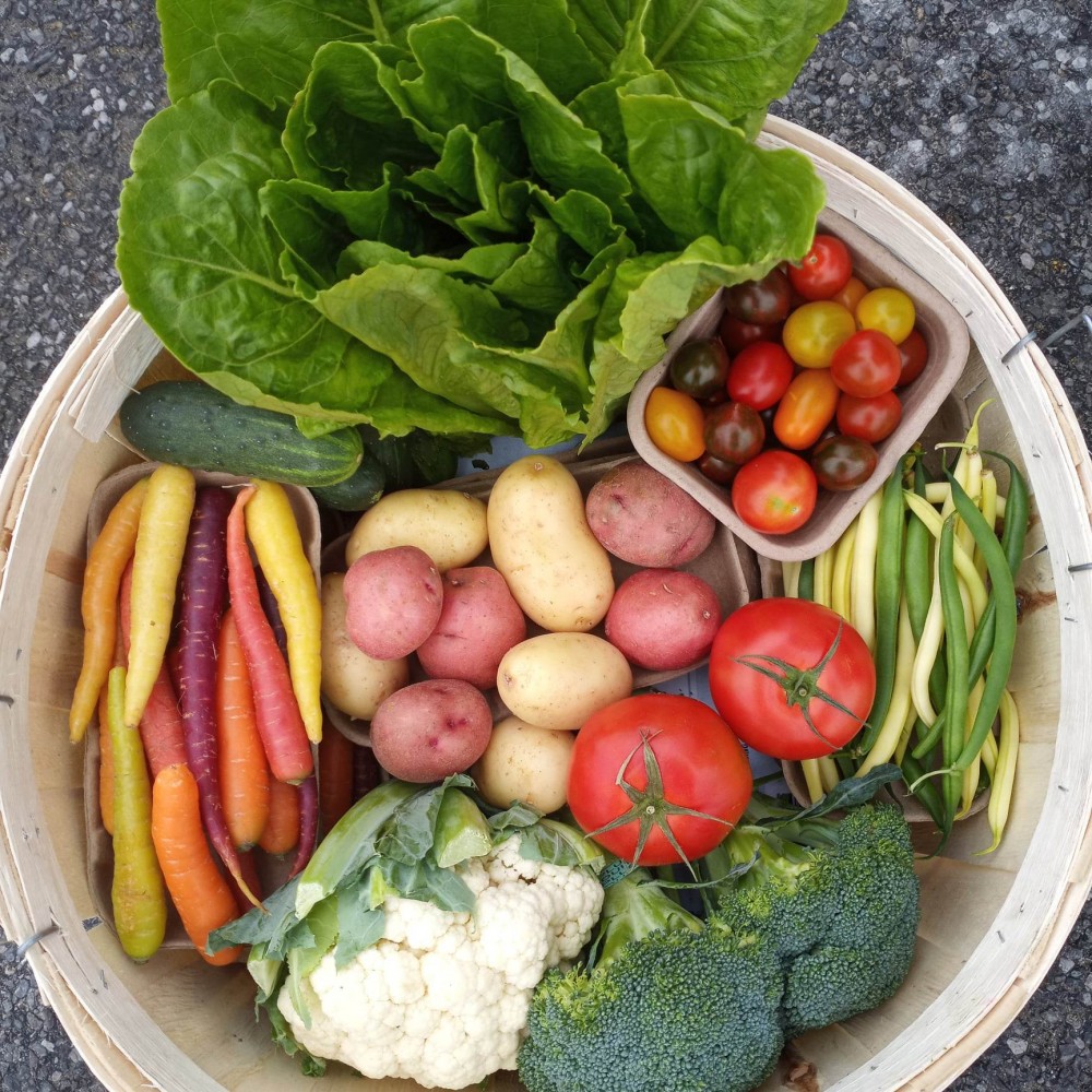 Fruit and Vegetable Box  - Biweekly (8 weeks Mid June - Oct)