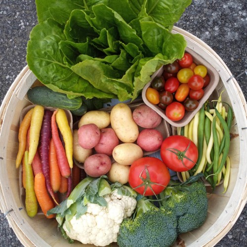 Fruit and Vegetable Box  - Biweekly (6 weeks  July - Sept)