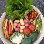 Weekly Vegetable Box - Ontario