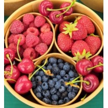 Fruit Sampler - Ontario