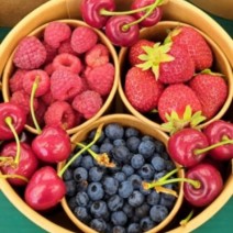 Fruit Sampler - Ontario