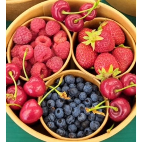 Fruit Sampler - Ontario