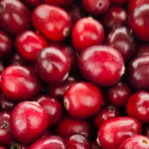 Cranberries - Fresh - Locally Grown - 4 L