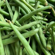 Green Beans - Ontario