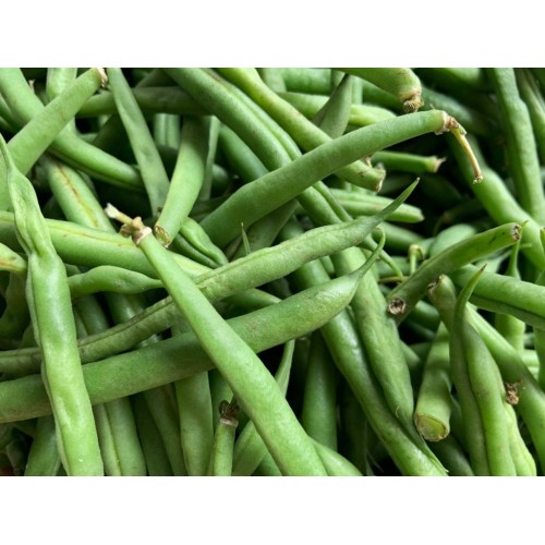 Green Beans - Ontario