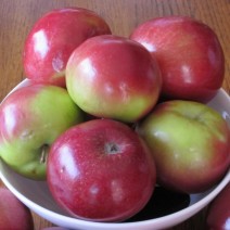 Apple - Locally  Grown - McIntosh - Bushel