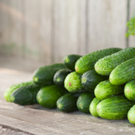 Cucumbers - Ontario - Pack of 4