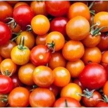 Cherry Tomatoes - Rainbow - Ontario