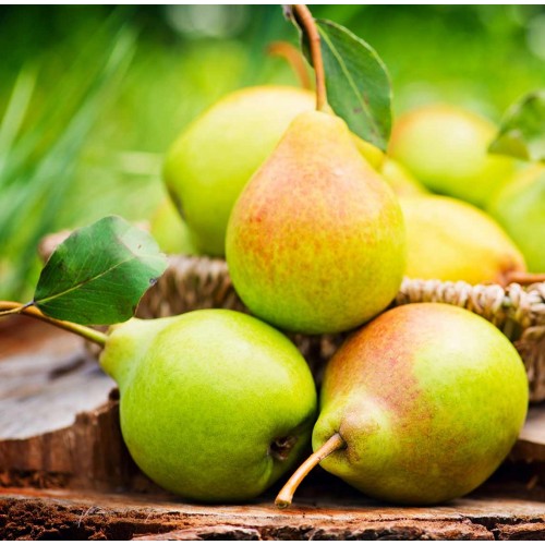 Pears- Barlett - Flat