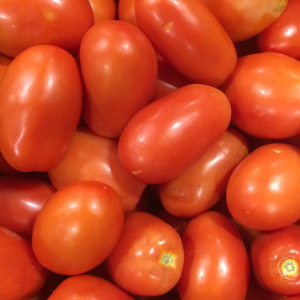   Tomatoes - Roma - Assorted Sizes